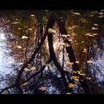 Podzimní zrcadlení