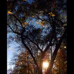 Podzimní zrcadlení