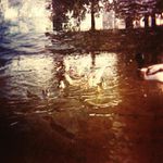 Kacenky a Kacenak (jako bonus)