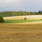 Branišovický trojúhelník