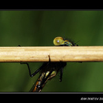 ...ještě kousek...