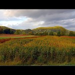 ... Čatěž - Slovinsko ...