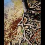 ...Bohinjská zákoutí...