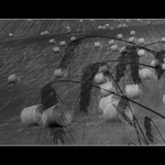 Opposing Views (Protikladné pohledy)