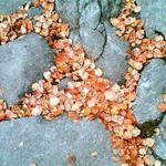 Tatranska magistrala