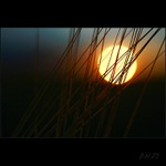 západovka polná...