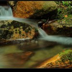 lesní potůček (2)