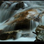 lesní potůček (4)