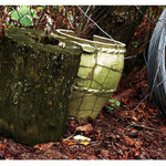 Nepotřební v zátiší