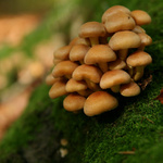 Sídlišťátko na svahu