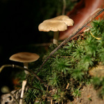 Pojď za chvilku jsme nahoře