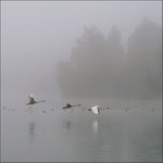 LETECKÁ INSTRUKTÁŽ