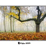 -[DÝCHEJTE Z HLUBOKA]-