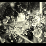 ..:pAvučiNA sNů:..