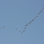 a vy si tu mrzněte !