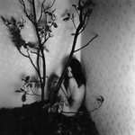 Moje pohádky: Podzimžínka