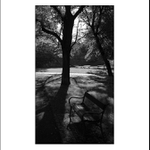 Vyšehradské lavičky