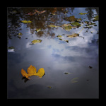 Odplouvající léto