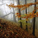 Konec října - nedělní ráno