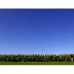 Ještě půl hektaru...