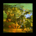 Imagine VI. - Podzim