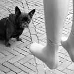 Groningen - obrázky z ulice (II)