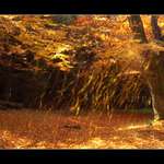 prší prší , jen se zlatí