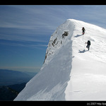 Hledání místa na oběd