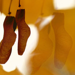 Podzimní prádlo...