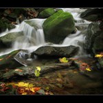 **Bezejmenné Beskydské potůčky**