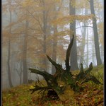 ** Prostě podzimní  **