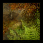 ..cestou necestou...