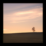 ...nachové ráno...