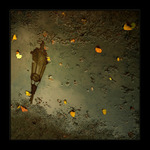 ..od(b)rázky z chodníku..