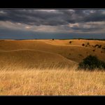 Dumače, srbský Banát