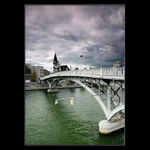 Brutální týrání medvídků