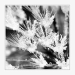 Český křišťál III.