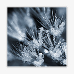 Český křišťál IV.