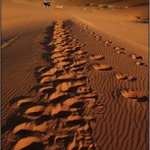 Púšť Erg Chebbi IV.