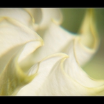 Andělské poselství