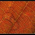 .:. strukturofka I. .:.