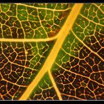 .:. strukturofka II. .:.