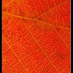 .:. strukturofka III. .:.