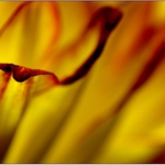 kuk na přehled nejbodovanějších fotek za 7 dnů - prvních 52 jsou krajinky a zvířátka, to je pěkné