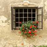 Okno Sázavského kláštera