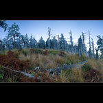 První krůčky zimy