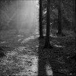 ..světlo a stín...