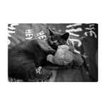 kocour Olda přistižen při šukání plyšového medvěda