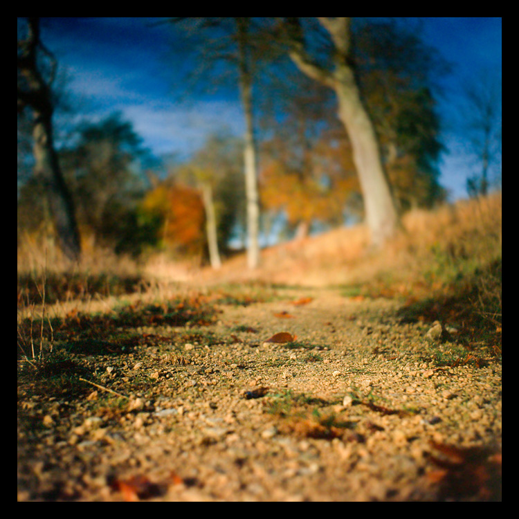 Podzimní cesta