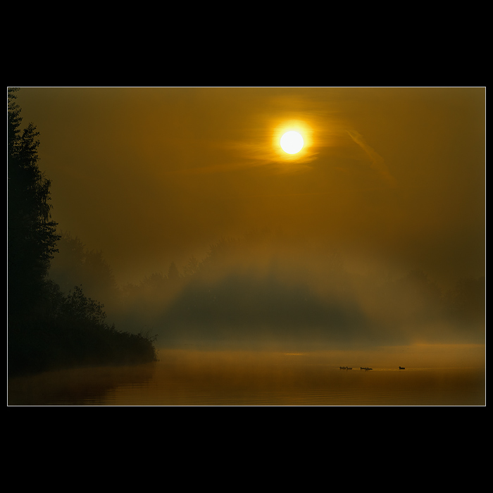 *RÁNO JAKÉ MÁM RÁD IV.*